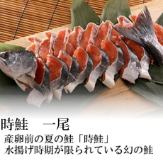 時鮭
