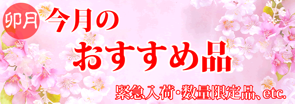 今月のおすすめ品