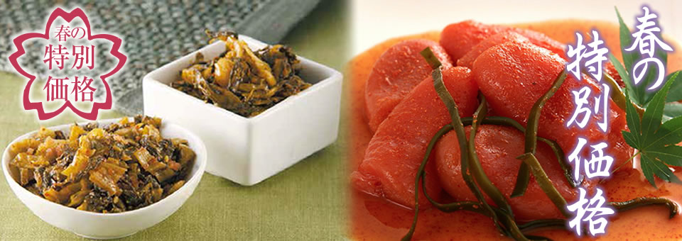 春の限定特別価格