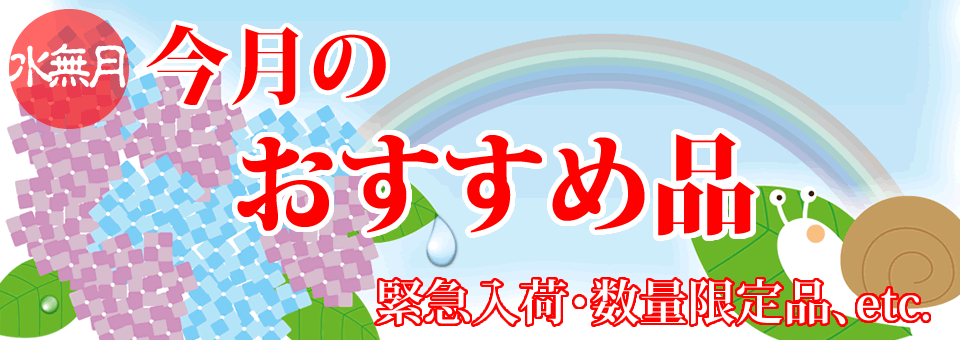 今月のおすすめ品