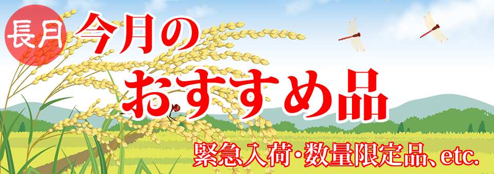 今月のおすすめ品