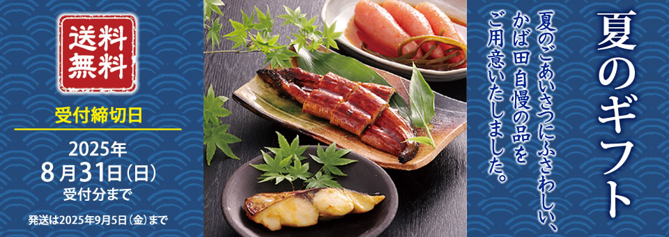 夏のギフト 送料無料