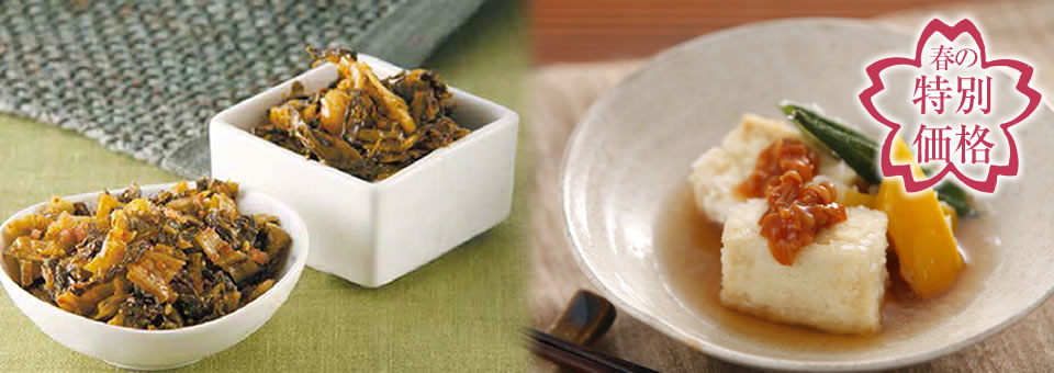 春の特別価格