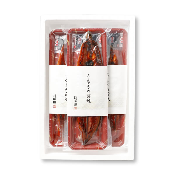 【送料無料】【早割】鹿児島産・特大うなぎの蒲焼き 3尾入箱（約200g×3）（タレ付き）