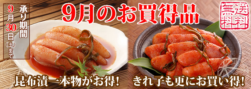 送料無料 9月のお買い得品